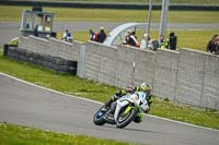 Advanced Group White Bikes